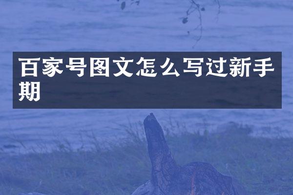百家号图文怎么写过新手期