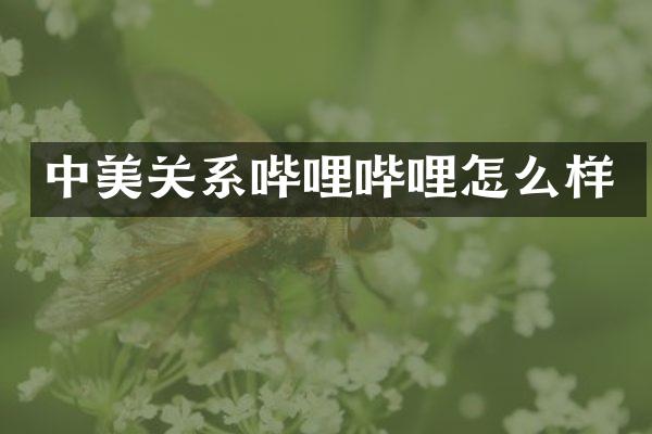 中美关系哔哩哔哩怎么样