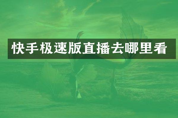 快手极速版直播去哪里看
