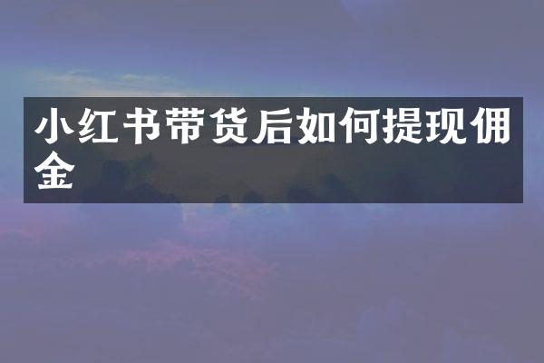 小红书带货后如何提现佣金