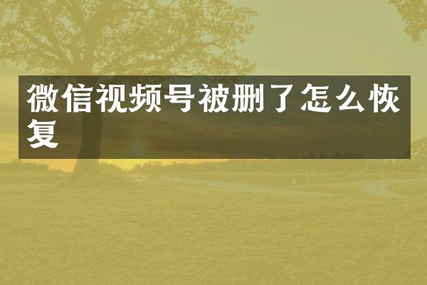 微信视频号被删了怎么恢复