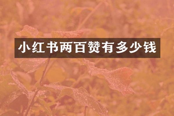 小红书两百赞有多少钱