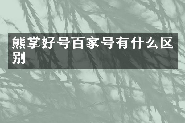 熊掌好号百家号有什么区别