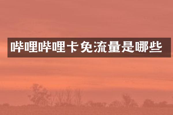 哔哩哔哩卡免流量是哪些