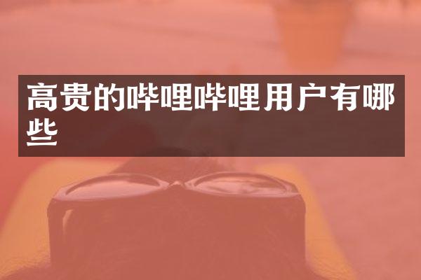 高贵的哔哩哔哩用户有哪些