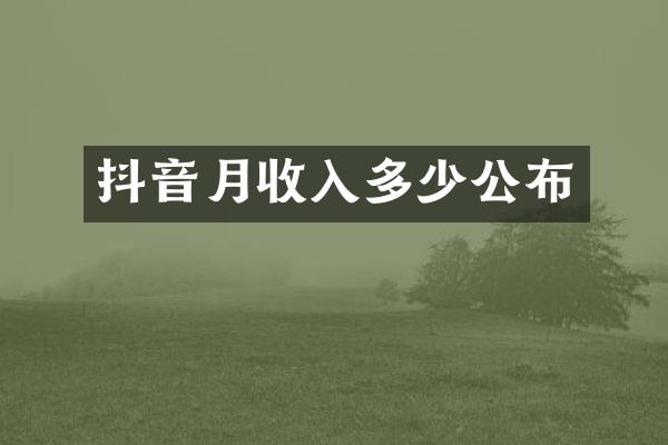 抖音月收入多少公布