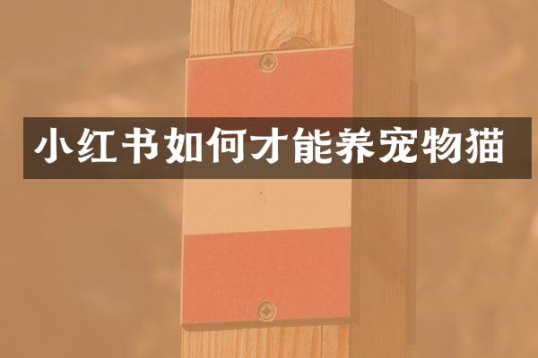 小红书如何才能养宠物猫
