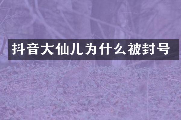 抖音大仙儿为什么被封号