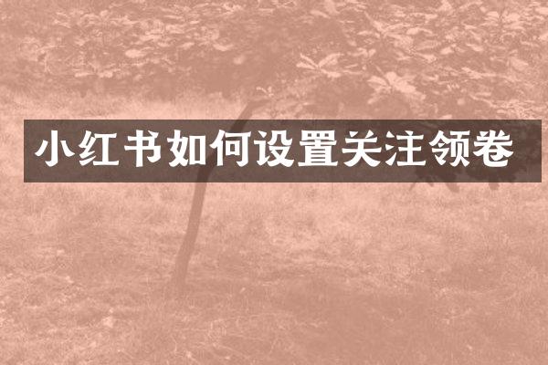 小红书如何设置关注领卷