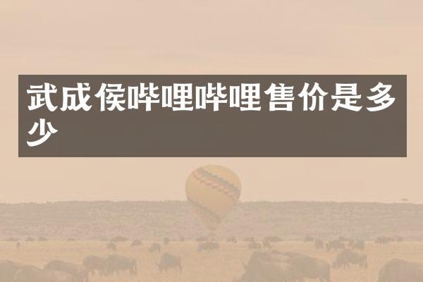 武成侯哔哩哔哩售价是多少