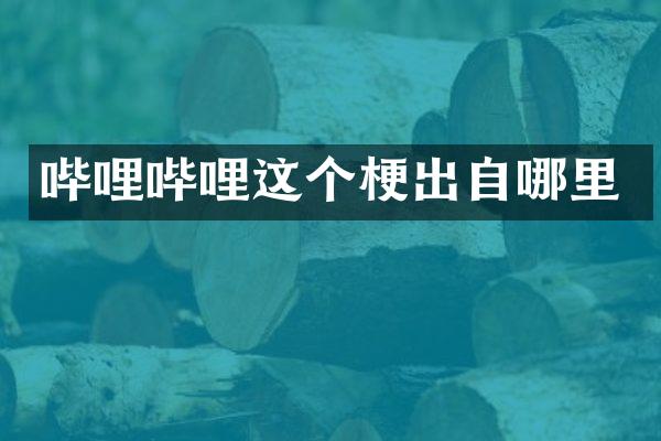 哔哩哔哩这个梗出自哪里