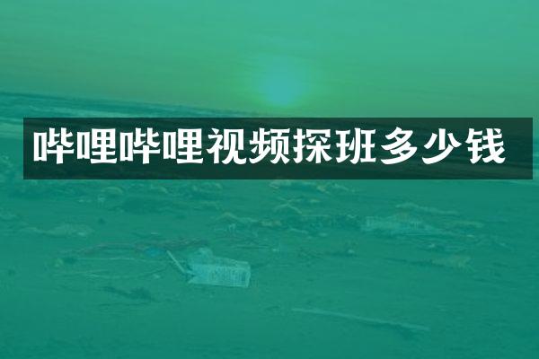 哔哩哔哩视频探班多少钱