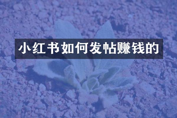 小红书如何发帖赚钱的