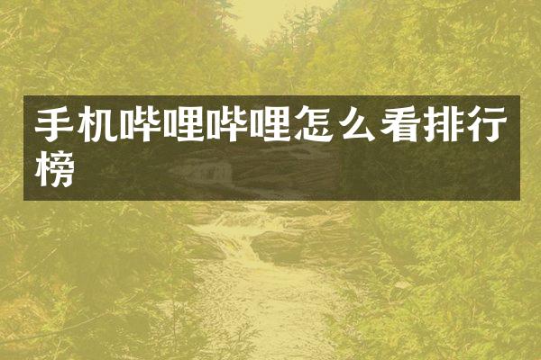 手机哔哩哔哩怎么看排行榜