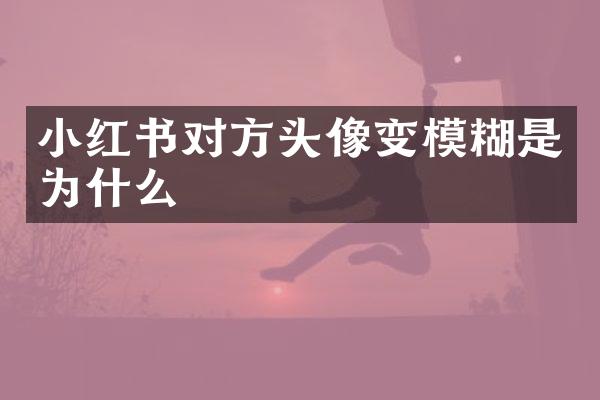 小红书对方头像变模糊是为什么