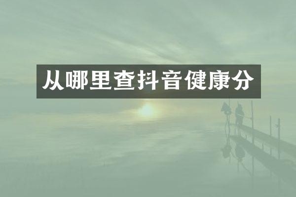 从哪里查抖音健康分