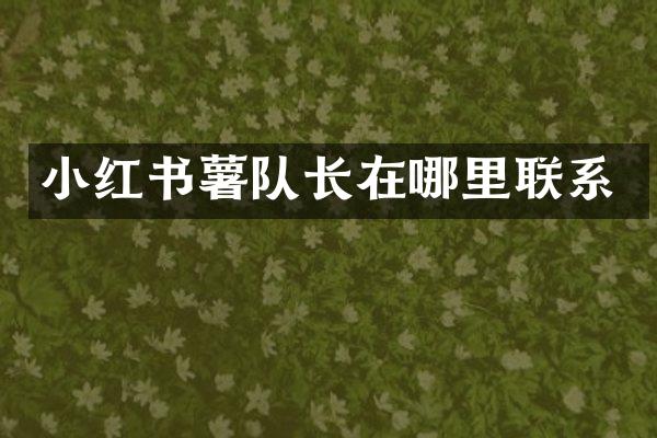 小红书薯队长在哪里联系