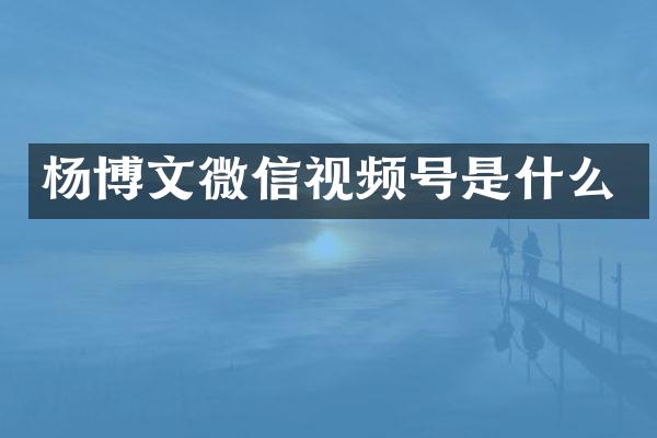 杨博文微信视频号是什么