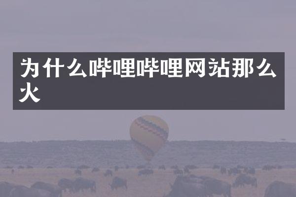 为什么哔哩哔哩网站那么火