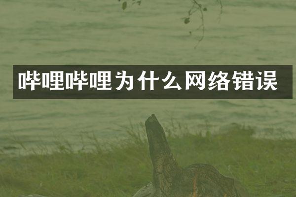 哔哩哔哩为什么网络错误