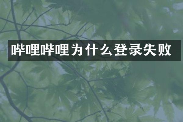 哔哩哔哩为什么登录失败