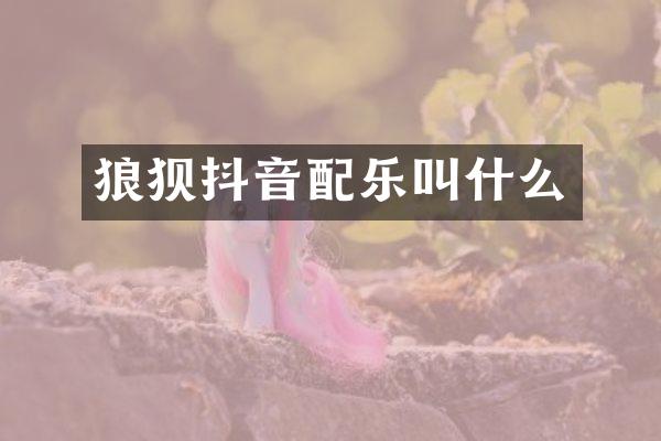 狼狈抖音配乐叫什么