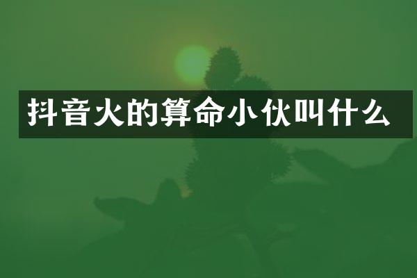 抖音火的算命小伙叫什么