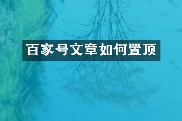 百家号文章如何置顶