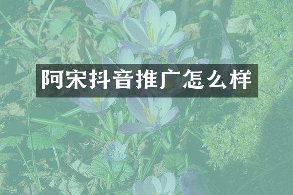 阿宋抖音推广怎么样