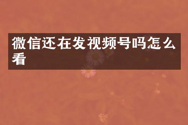 微信还在发视频号吗怎么看