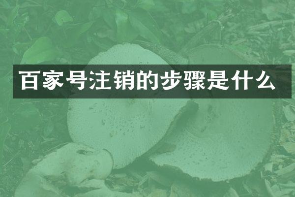 百家号注销的步骤是什么