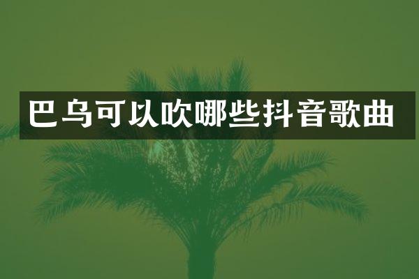 巴乌可以吹哪些抖音歌曲