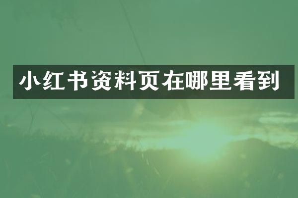 小红书资料页在哪里看到