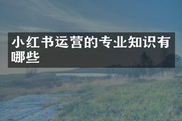 小红书运营的专业知识有哪些