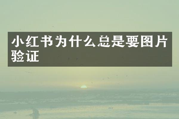 小红书为什么总是要图片验证