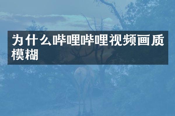 为什么哔哩哔哩视频画质模糊