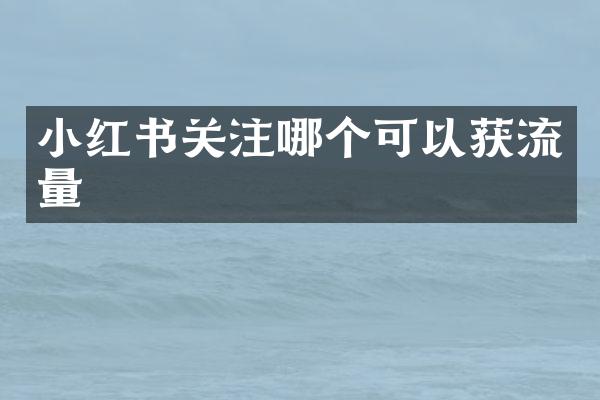 小红书关注哪个可以获流量