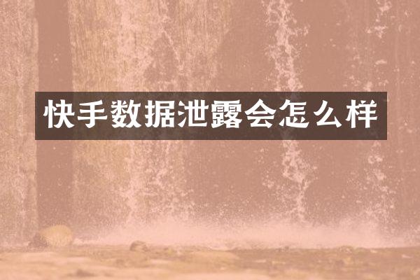 快手数据泄露会怎么样