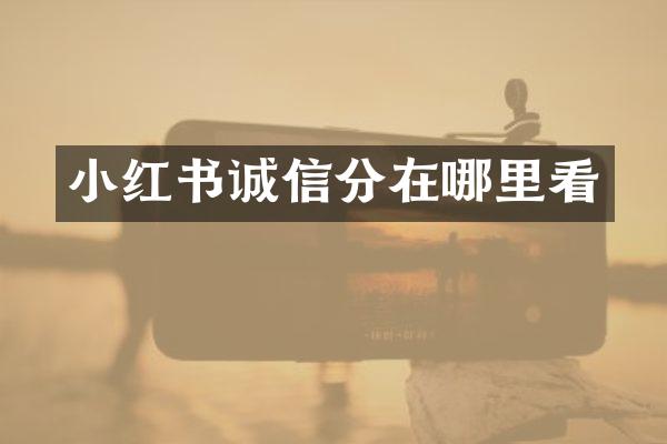小红书诚信分在哪里看