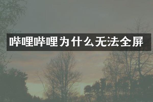 哔哩哔哩为什么无法全屏