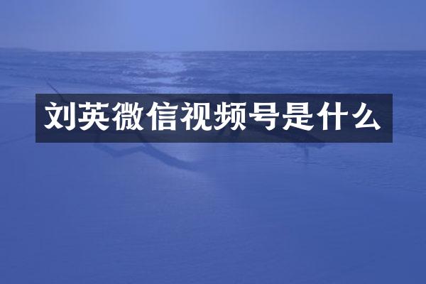 刘英微信视频号是什么