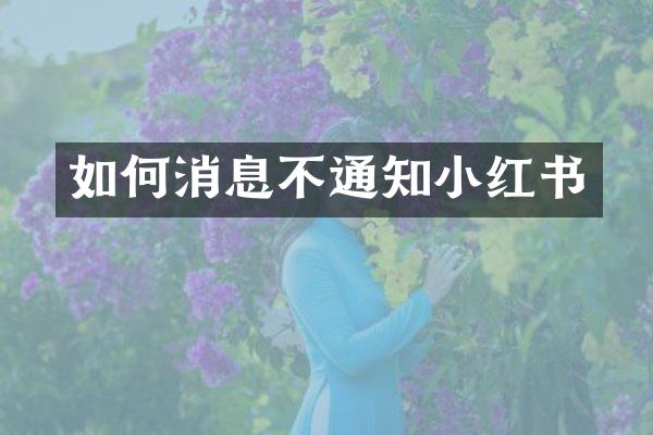如何消息不通知小红书