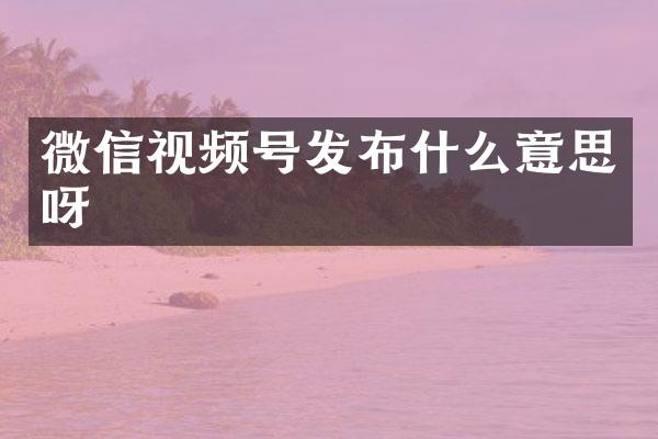 微信视频号发布什么意思呀