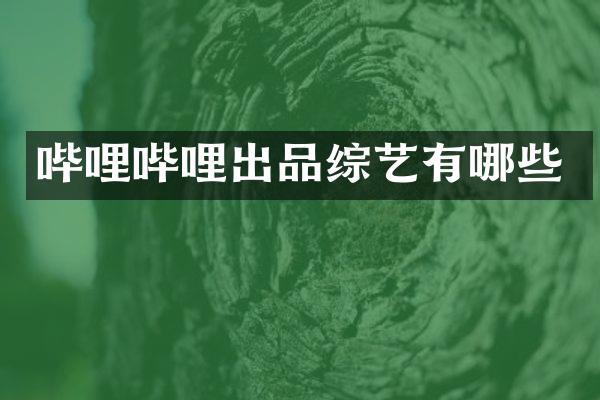 哔哩哔哩出品综艺有哪些