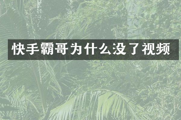 快手霸哥为什么没了视频