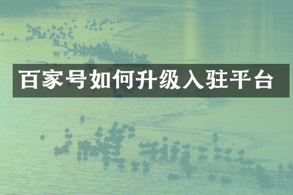 百家号如何升级入驻平台