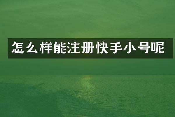 怎么样能注册快手小号呢