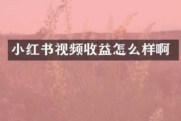 小红书视频收益怎么样啊