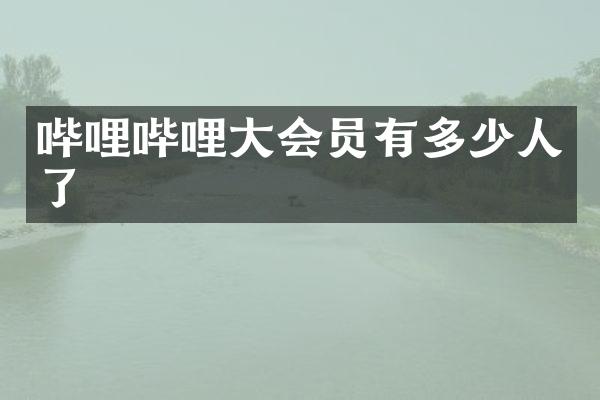 哔哩哔哩大会员有多少人了