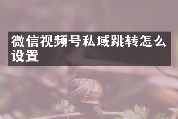 微信视频号私域跳转怎么设置